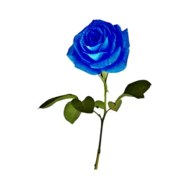 Lule Blu